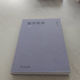 数学传奇(上册)