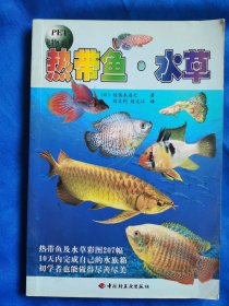 热带鱼，水草