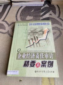 企业经济责任审计精要与案例