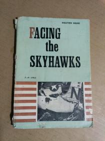 FACING the SKYHAWKS【迎击空中袭击者，英文】