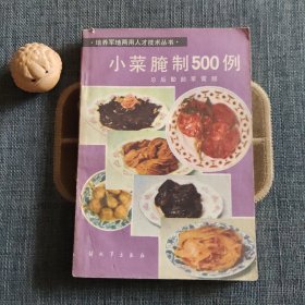 小菜腌制500例