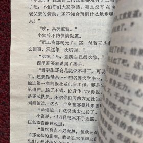 青春之门：放浪篇：青春长河系列——放浪篇