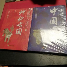 一读就入迷的神秘古国，中国史两册合售一未拆封