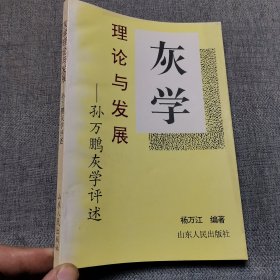 灰学理论及发展:孙万鹏灰学评述