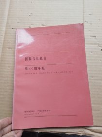 国际清算银行第66期年报:1995年4月1日～1996年3月31日