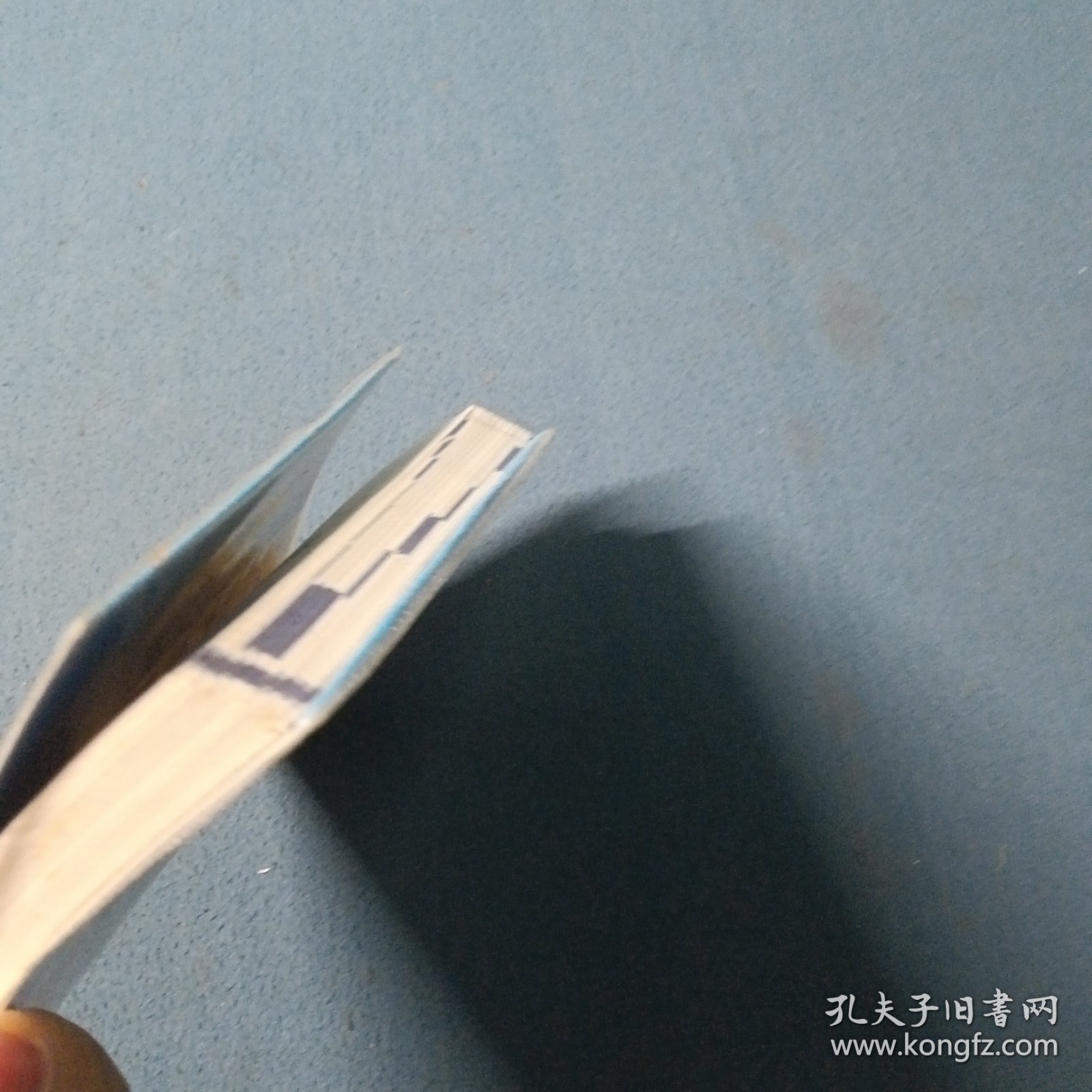 记易通·初中语文基础知识及要点突破