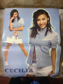 明星海报张柏芝压膜