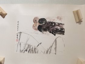 黎明