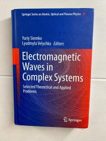 Electromagnetic Waves in Complex Systems：selected Theoretical and Applied Problems 复杂系统中的电磁波：选定的理论和应用问题（原版精装、现货如图）