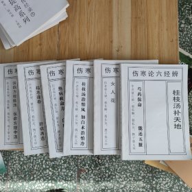 蔡长福老师 蔡氏六经辨证系列—6本合售