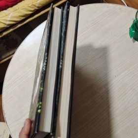梧桐树后的老房子(1、2册合售)：上海徐汇历史建筑集锦