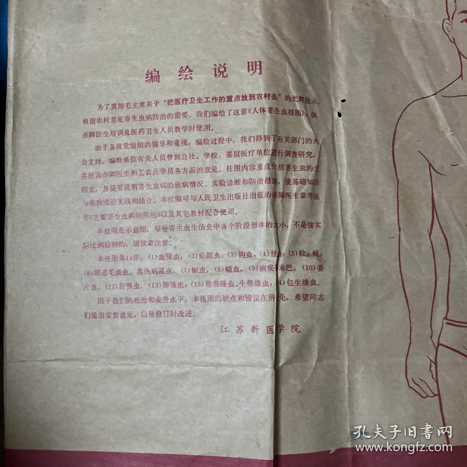 人体寄生虫挂图 【全套14张】