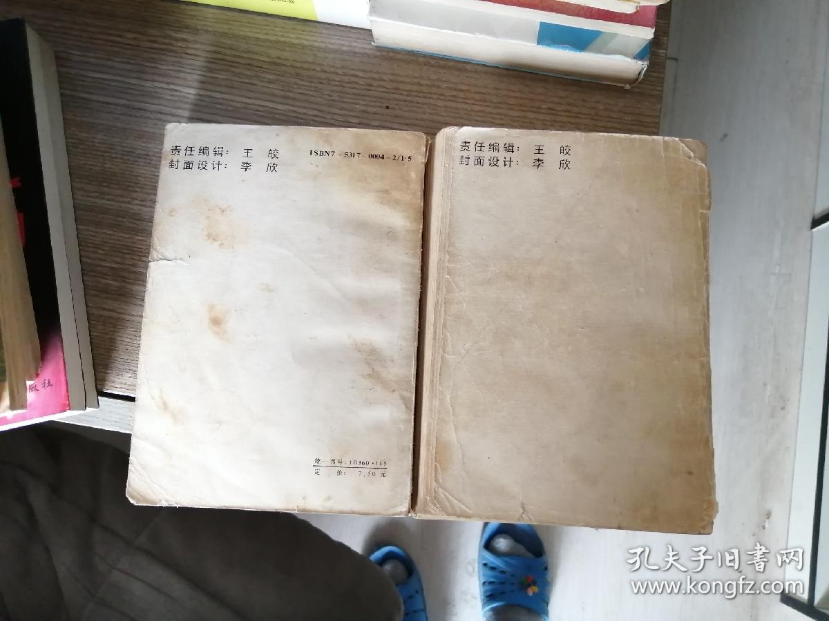 济公外传（上下）