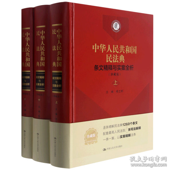 《中华人民共和国民法典》条文精释与实案全析（珍藏版）
