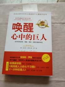 唤醒心中的巨人：如何控制身体、情绪、精神、财富及最终命运