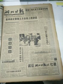 湖北日报1995年3月2日