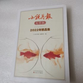 小说月报大字版2022年精品集