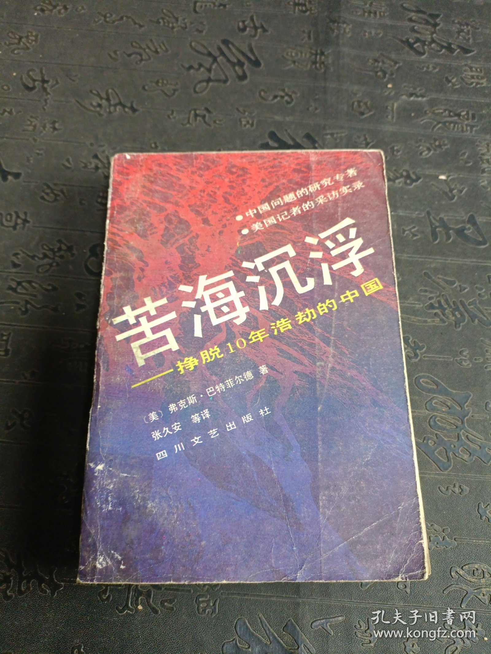 苦海沉浮一挣脱10年浩劫的中国 有水印