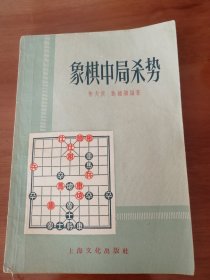 象棋中局杀势