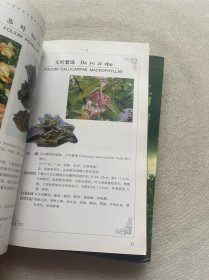 中国常用中草药彩色图谱 上中 【2册合售】