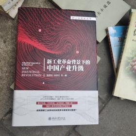新工业革命背景下的中国产业升级