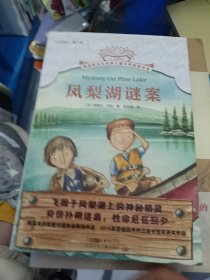 凤梨湖谜案