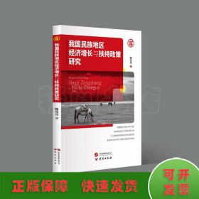 我国民族地区经济增长与经济扶持政策研究：提出多种建设性意见 分析全面新颖 对专业人员及研究人员极具参考价值