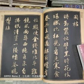 中国历代名家名帖经典：明 唐寅行书落花诗卷