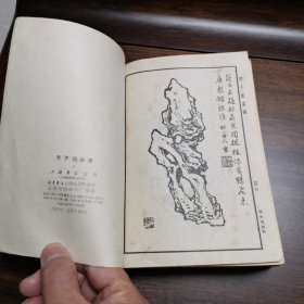 《芥子园画谱 》（上海书店影印本 ） 全一册