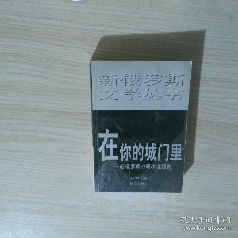 在你的城门里 新俄罗斯中篇小说精选