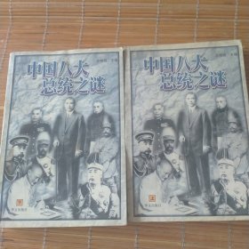 中国八大总统之谜 上下册