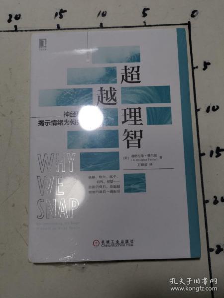 超越理智：神经科学揭示情绪为何失控