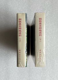 钢铁是怎样炼成的（上下2册 50开精装 连环画）