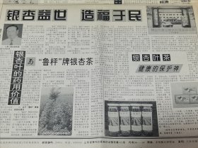 人民权利报：银杏叶的药用价值与《鲁枰牌》银杏茶。 银杏叶茶健康的保护神——泰安市泰山银杏制茶有限公司。