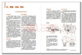 虾蟹料理图鉴 日本柴田书店 9787518438556 中国轻工业出版社