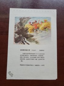 年画缩样散页(劳动模范康兰英)