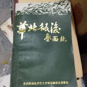 华北敌后鲁西北（下册）