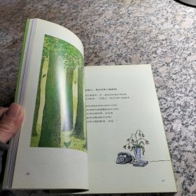 我的心中每天开出一朵花 几米作品精选集