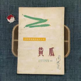 黄瓜