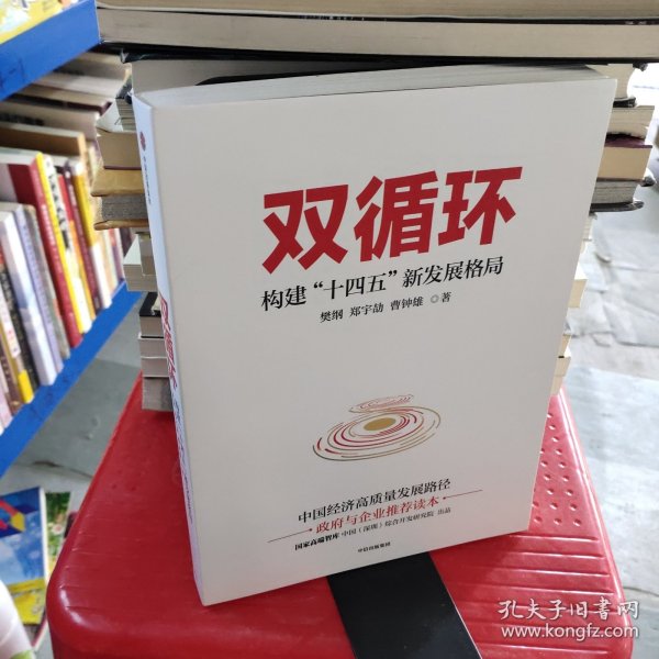 双循环构建十四五新发展格局双循环与我们的关系樊纲作品国家高端智库出品政府和企业推荐读本