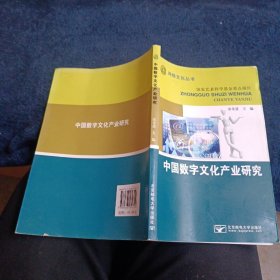 网络文化丛书：中国数字文化产业研究