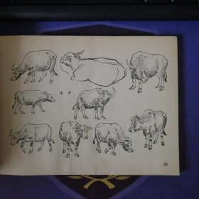 《农林牧副渔美术参考资料》 插图本(1979年3月)1 版1印 上海人民美术出 (私藏)