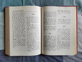 现代汉语大字典