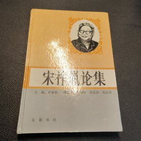 宋祚胤论集