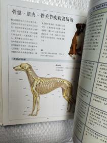 爱犬养护大全