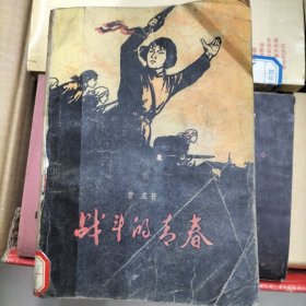 战斗的青春