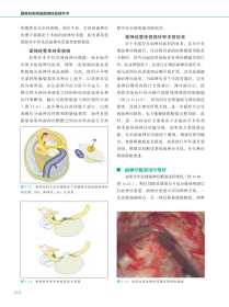 【正版新书】颞骨与侧颅底显微外科手术中面神经的处理