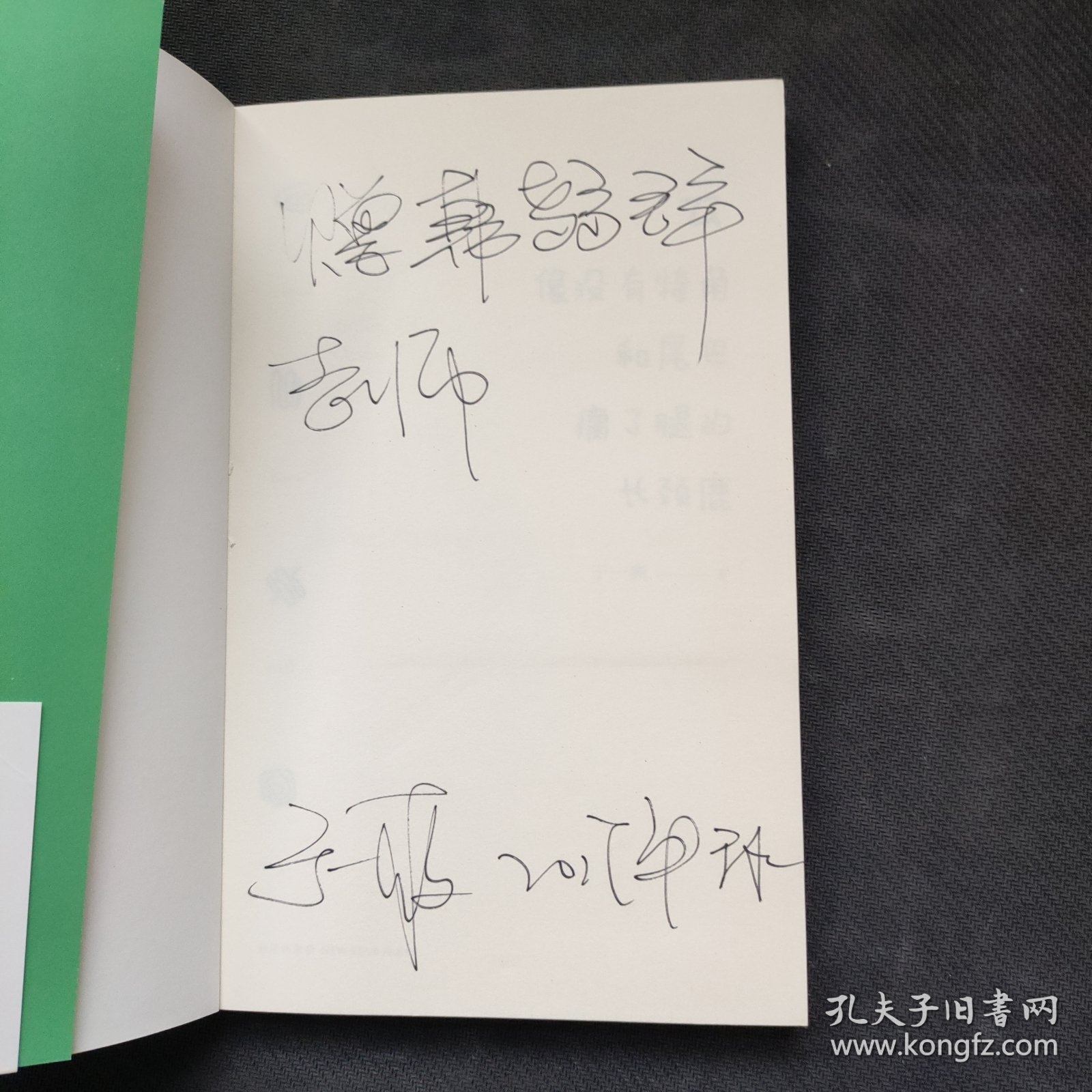 云像没有犄角和尾巴瘸了腿的长颈鹿（高晓松、杨葵，高群书、冯唐、王小山等推荐）于一爽签名本