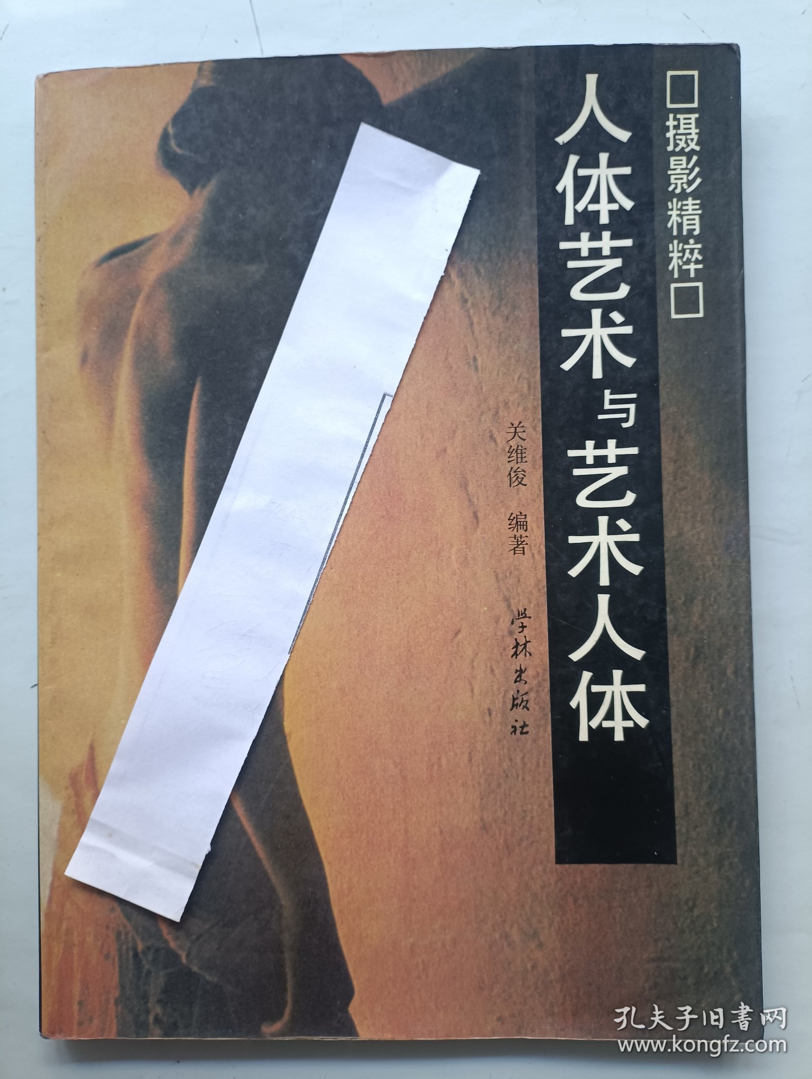 人体艺术与艺术人体