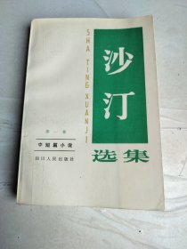 沙汀选集·第一卷